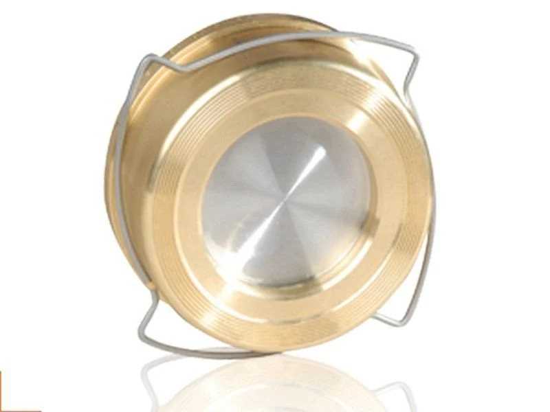 DİSCO ÇEKVALF DN80 1