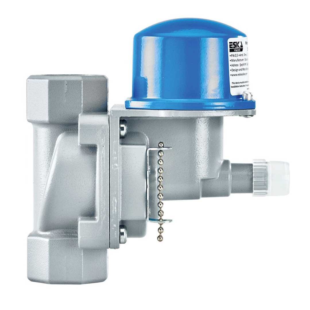 1'' DEPREM VANASI MEKANİK (ESKA) 1