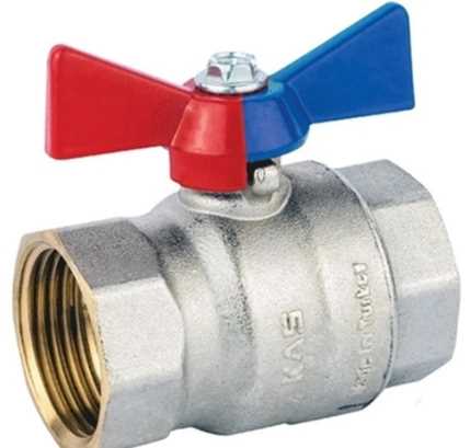 1'' KELEBEK VANA İÇ DİŞLİ( KAS ) 1