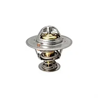 TERMOSTAT (60 DERECE) (BAYPASLI) (467,4053)      HEPSİNE 1