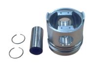 PİSTON (SEKMANLI) (100 mm) (38 mm)      55-46-70-56 1