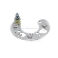 DİOTLU LEVHA (NAL DİOT)      480-640 1