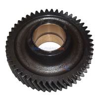 AVARE DİŞLİ (BURÇLU)  (YM) (Z 49) (7151936)      60-56 1