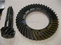 DEF.AYNA MAHRUTİ (10x43)      TD SERİSİ 1