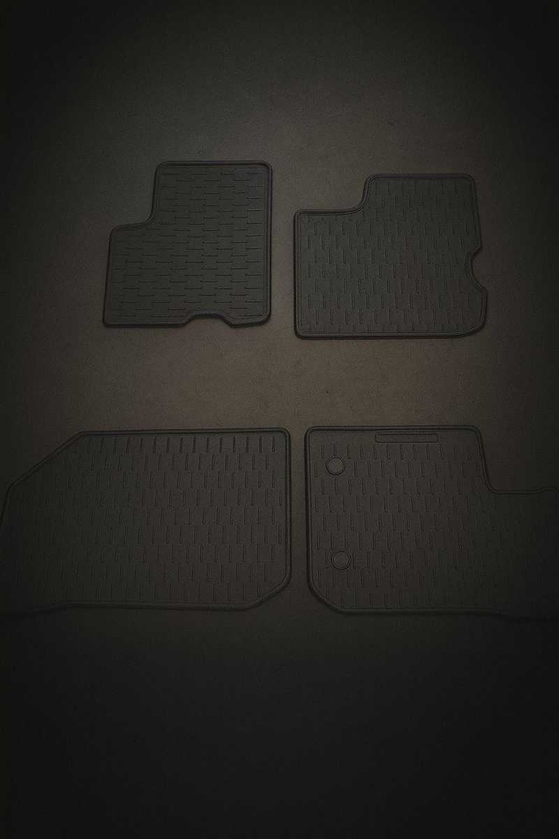 DACİA DUSTER 2010-2017 KAUÇUK PASPAS 1