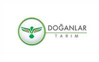 DOĞANLAR