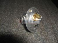 TERMOSTAT 60 DERECE 5080022 1