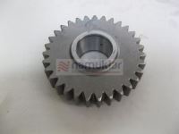 YAVRU ŞANZIMAN ORTA DİŞLİ-5158156 5158156 1