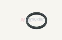 TERMOSTAT YATAK ORİNGİ  504062710 1