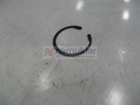 SEGMAN (11061576) 11061576 1