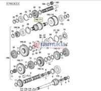 GRUP DISLISI Z=30/34 0.009.9599.0/50 1
