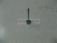 EGZOZ SUBABI 4784889-K 1