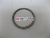 YAYLI PUL SEGMANI 5168347 1