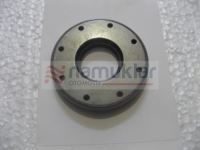 ORG. NO. ÖN DİNGİL KEÇESİ 84480072 1