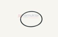 PUL ŞANZUMAN  5162361 1