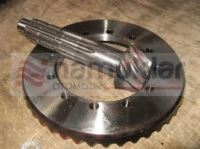 AYNA-MAHRUTİ DİŞLİ SETİ (10/44) 87331168 1