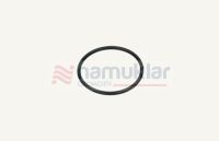 ORİNG 2,234 X 0,139 510185 1