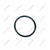 O RING 2.1530.095.0 1