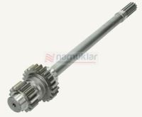 KISA KUYRUK MİLİ 4997623 1