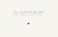 O-RİNG 529909R1 1