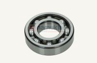 RULMAN -ARKA AKS-6309 20033750 1