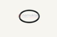 ORING T6.T7000 14471580 1