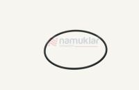 O-RING 14460980 1