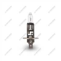 12 V 55 W H1 AMPUL DÖNER LAMBA AMPULU 12V55WH1 1