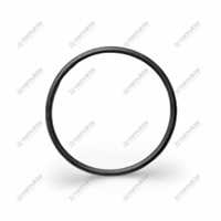 HİDROLİK PİSTON LASTİĞİ 5000 83416996 1