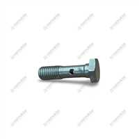 ÖZEL CIVATA 2.0399.306.0 1