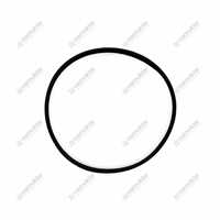 H-M-L PISTON ORINGI 2.1532.209.0 1