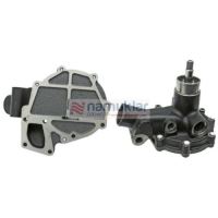 SU POMPASI V836864481 1