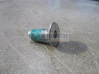 CİVATA PREV TORQUE, M10X1.25X25 47634896 1
