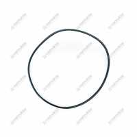 ANELLO 113.97X2.62 2.1530.507.0 2.1530.507.0 1