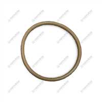 ORING 2.1539.154.0 1
