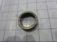 BURÇ-KÜLBÜTÖR MİLİ 81818731 1