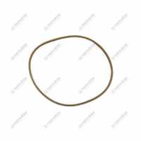 ANELLO O.R. 113.97 2.1539.241.0 1