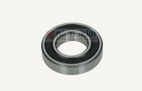 RULMAN KOMPLE-6008 2RS 28996550 1