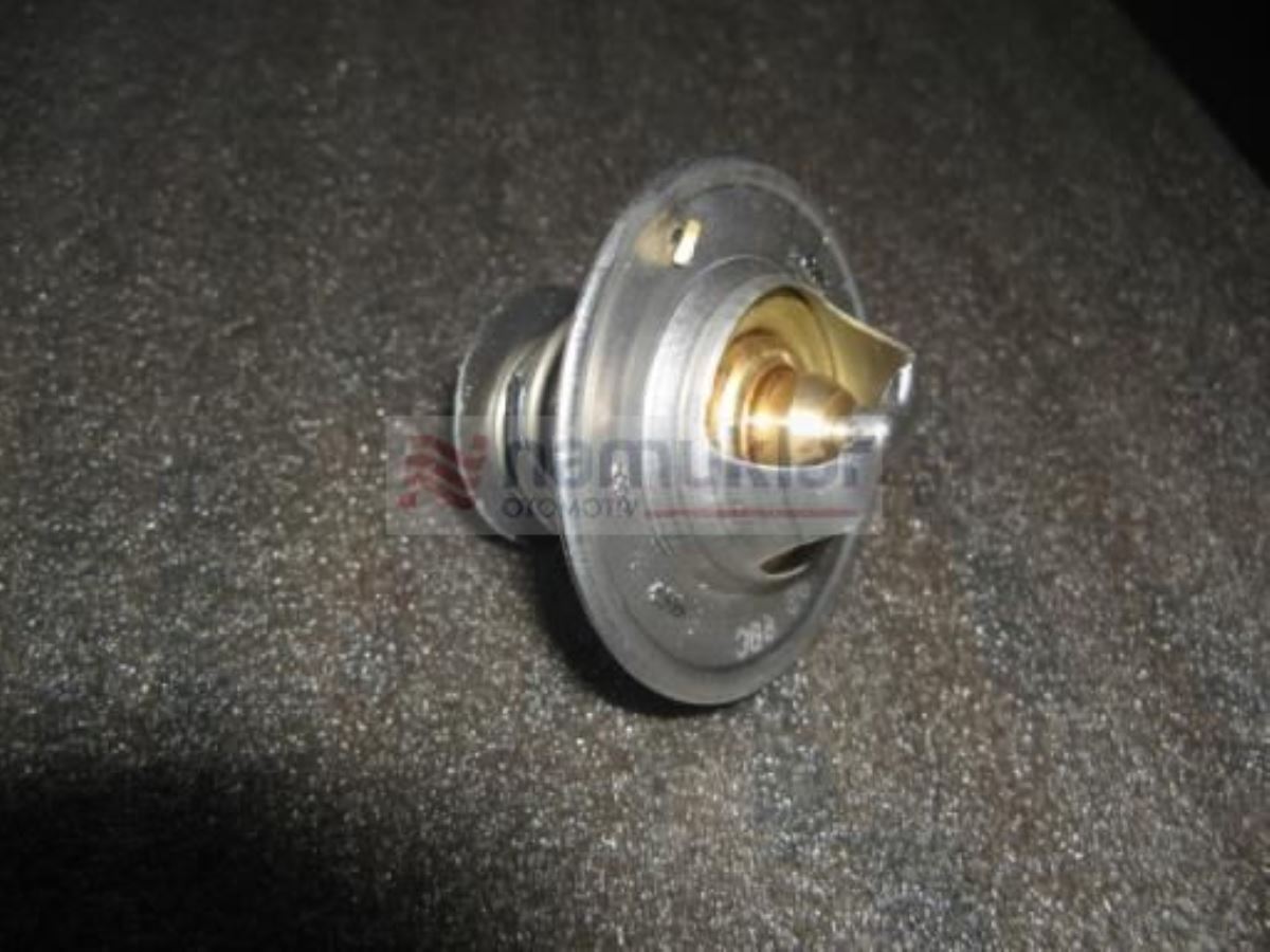 TERMOSTAT 60 DERECE 5080022 1