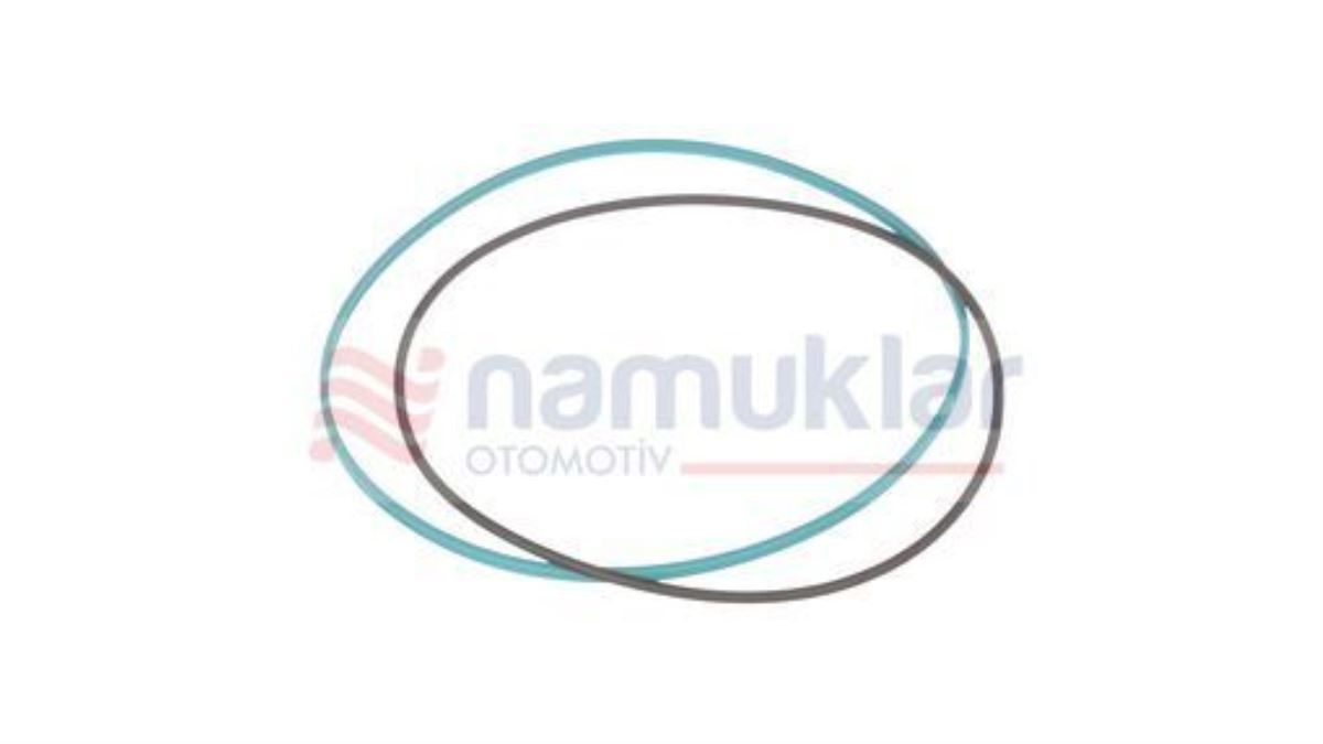 DUAL POWER KEÇESİ 5137563 1