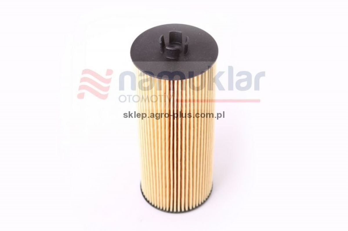 MOTOR YAG FILT.KARTUSLU-02931095 02931095 1