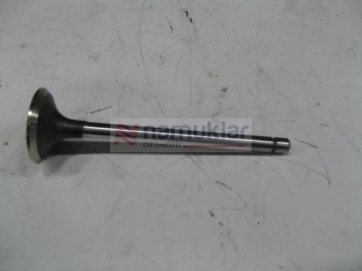 EGZOZ SUBABI 4784889 1