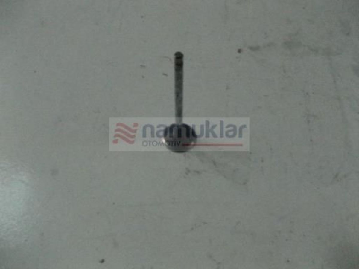 EGZOZ SUBABI 4784889-K 1