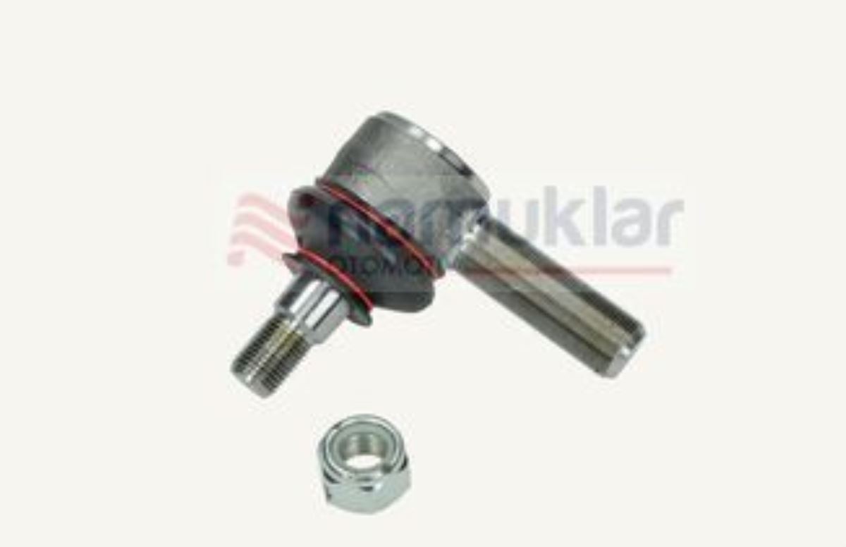 ORG-NO EKLEM BAŞI 5109553 1