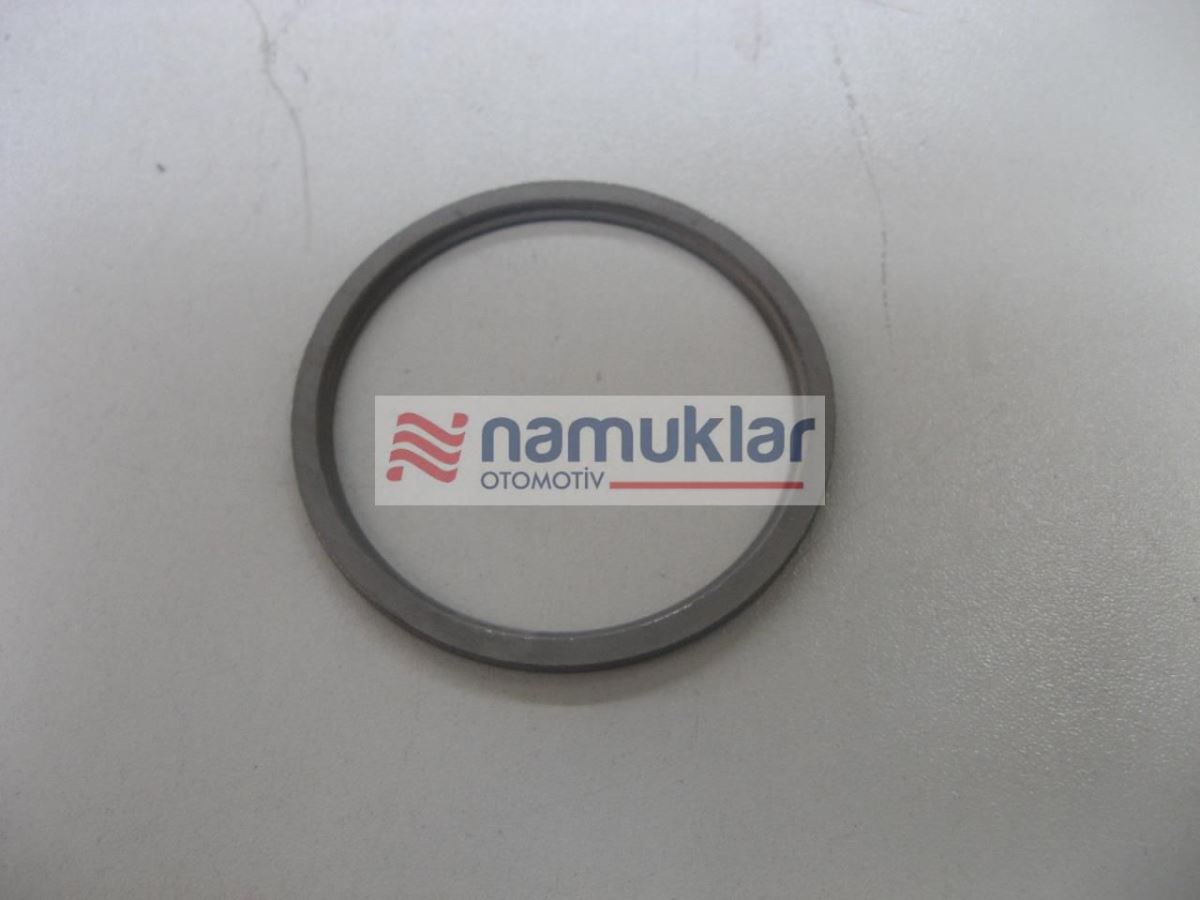 YAYLI PUL SEGMANI 5168347 1