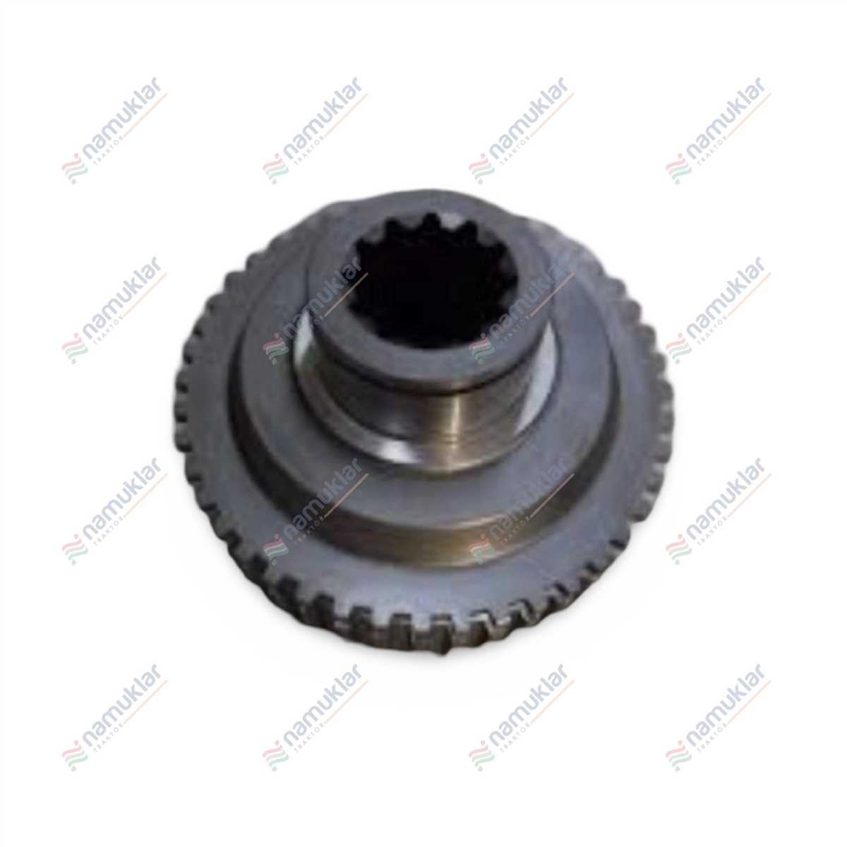 DİŞLİ -GRI 84323633 1