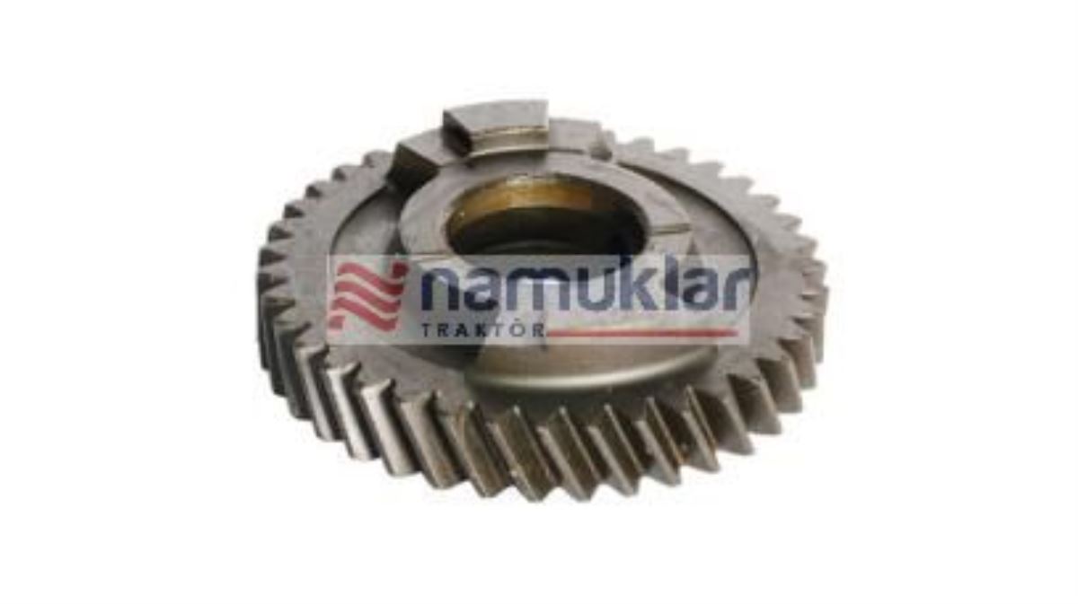 DİŞLİ 81862943 1