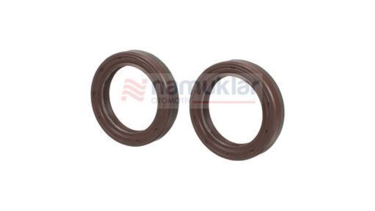 ŞANZIMAN KEÇESİ -36*50*10 87347725 1