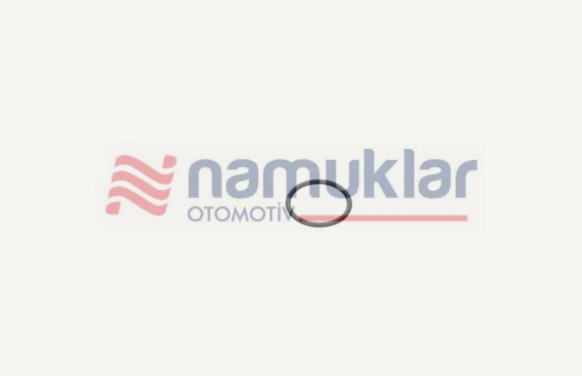 O-RİNG 9991976 1