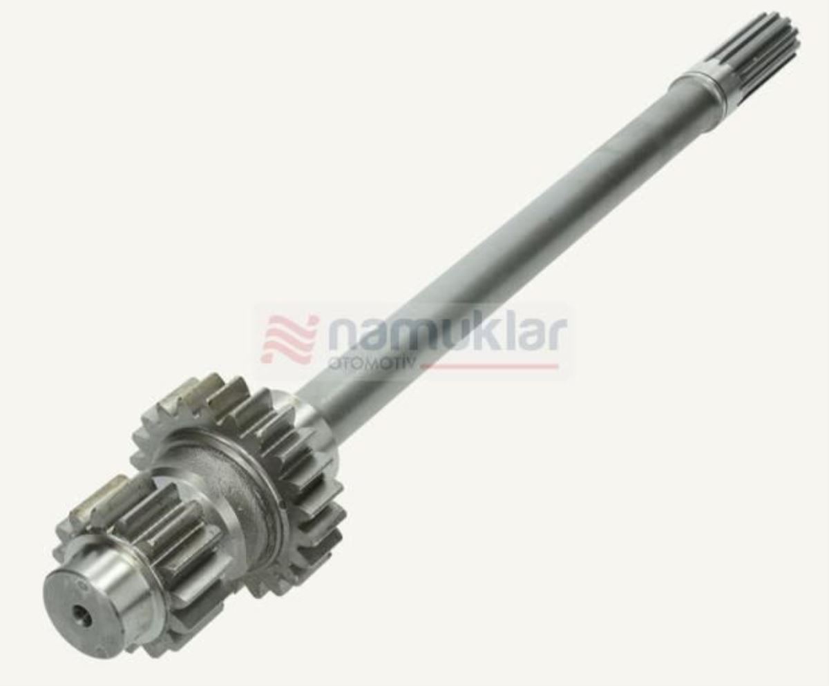 KISA KUYRUK MİLİ 4997623 1